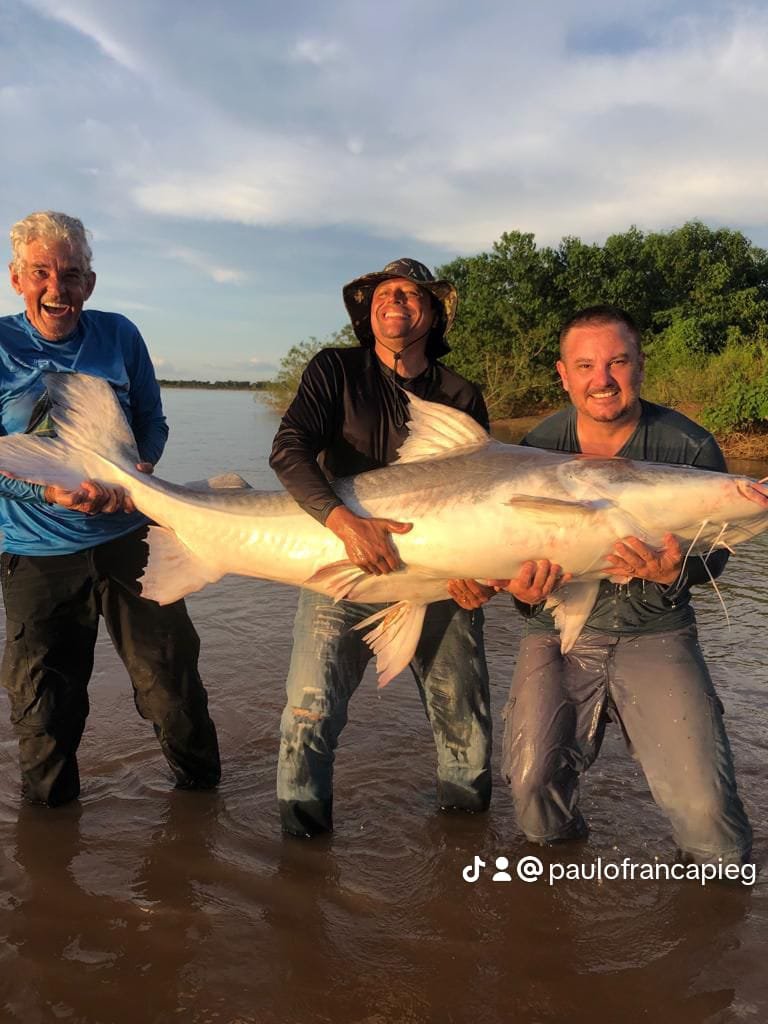 Video Piraíba Gigante!! Piraíba Gigantesca no Rio Araguaia